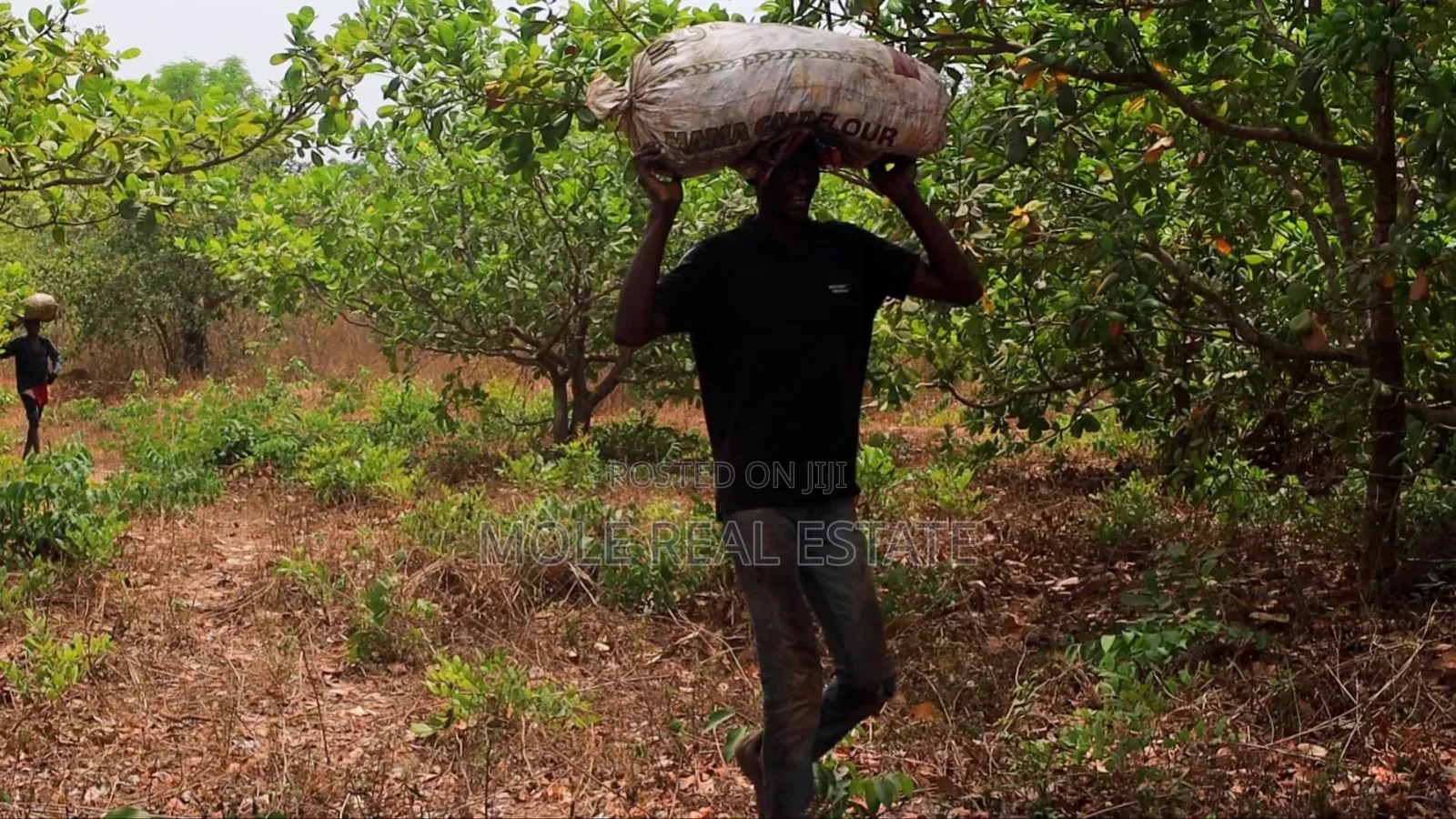 Large Volume of Farmland Someke Ofada Ogun State in Obafemi-Owode