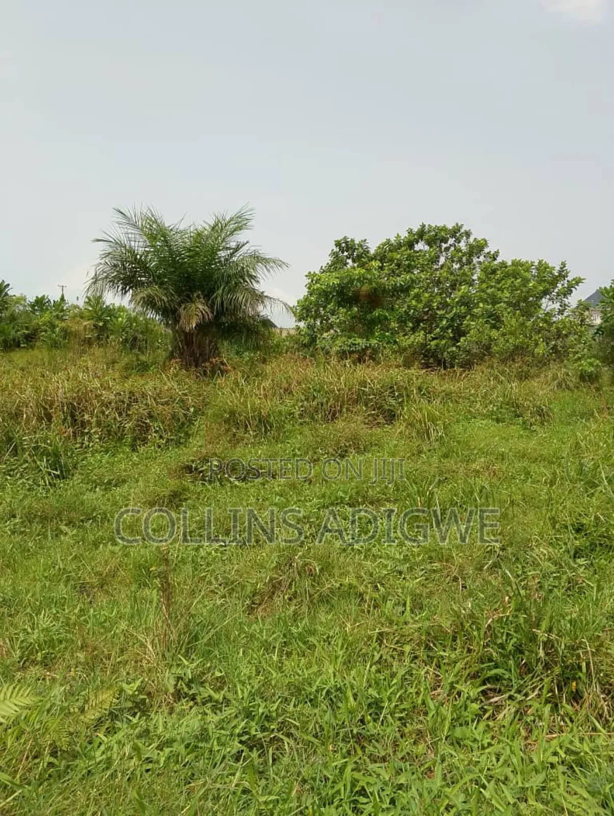 850 SQM Land at Lekki Peninsula Abraham Adesanya Ajah in Ajah