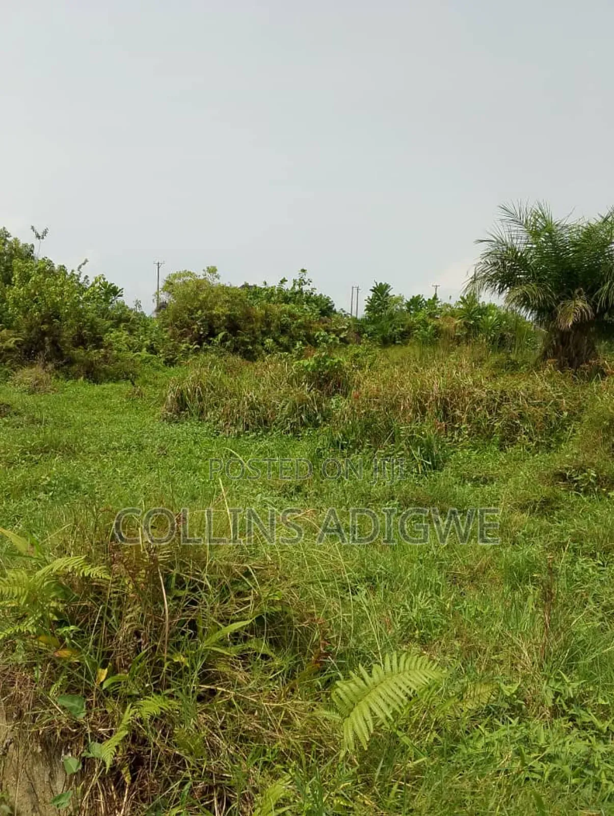 850 SQM Land at Lekki Peninsula Abraham Adesanya Ajah in Ajah