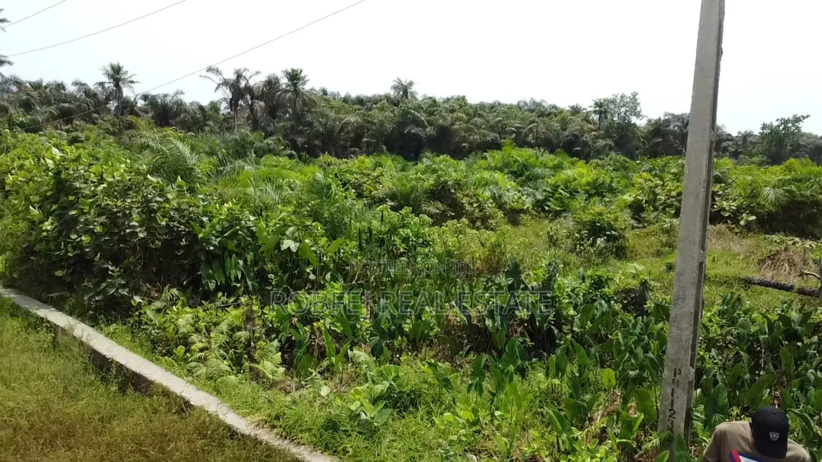 Urgent Sales 5 Acres Prime Land in Awoyaya