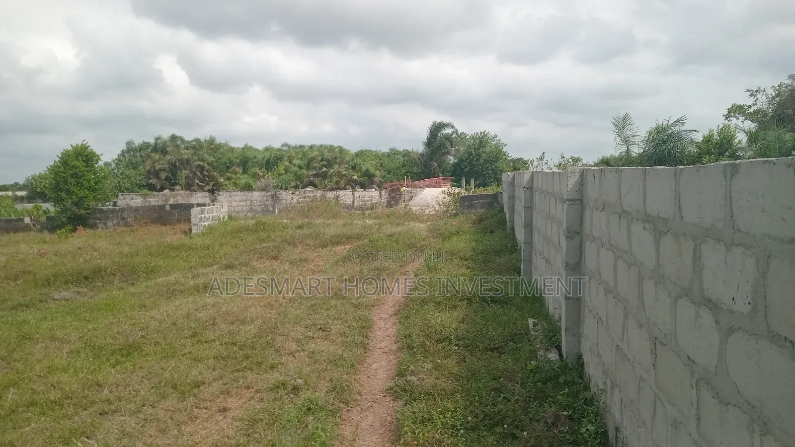 A Plot of Dry Land for Sale at Alahun Bogije in Bogije