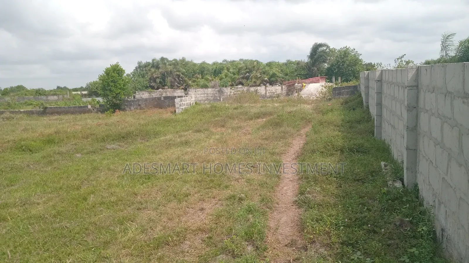 A Plot of Dry Land for Sale at Alahun Bogije in Bogije