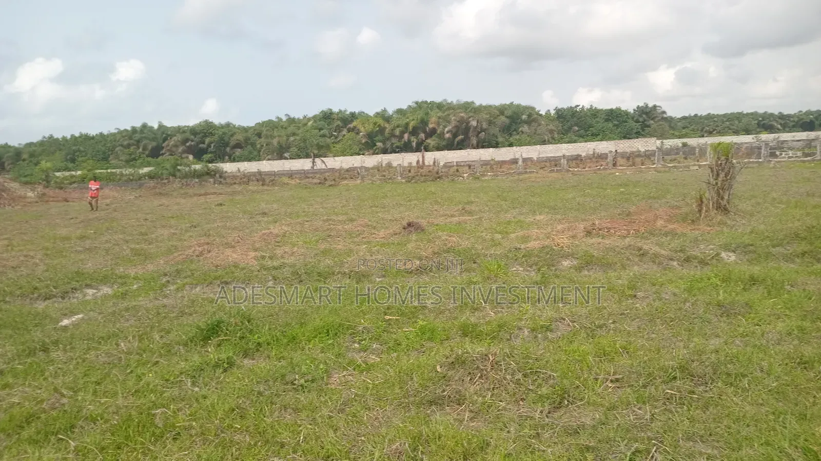 A Plot of Dry Land for Sale at Alahun Bogije in Bogije
