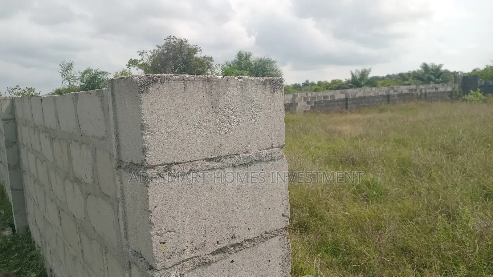 A Plot of Dry Land for Sale at Alahun Bogije in Bogije