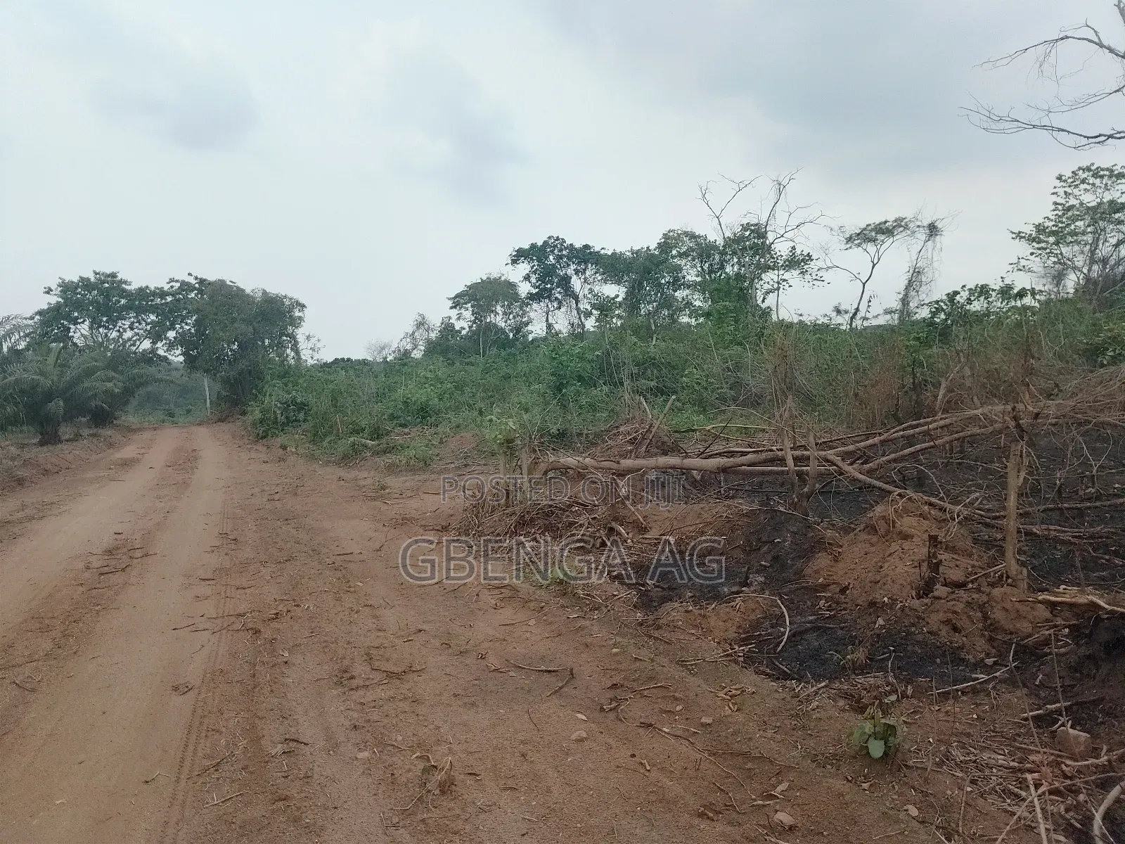 Acres of Farmland for Sale at Agoro via Ashipa Siun Ogun St in Obafemi-Owode