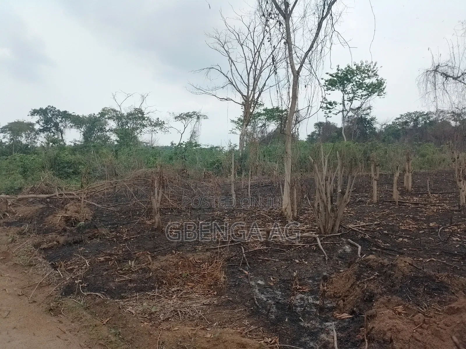 Acres of Farmland for Sale at Agoro via Ashipa Siun Ogun St in Obafemi-Owode