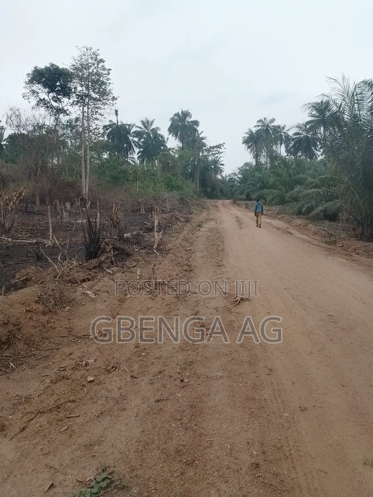 Acres of Farmland for Sale at Agoro via Ashipa Siun Ogun St in Obafemi-Owode