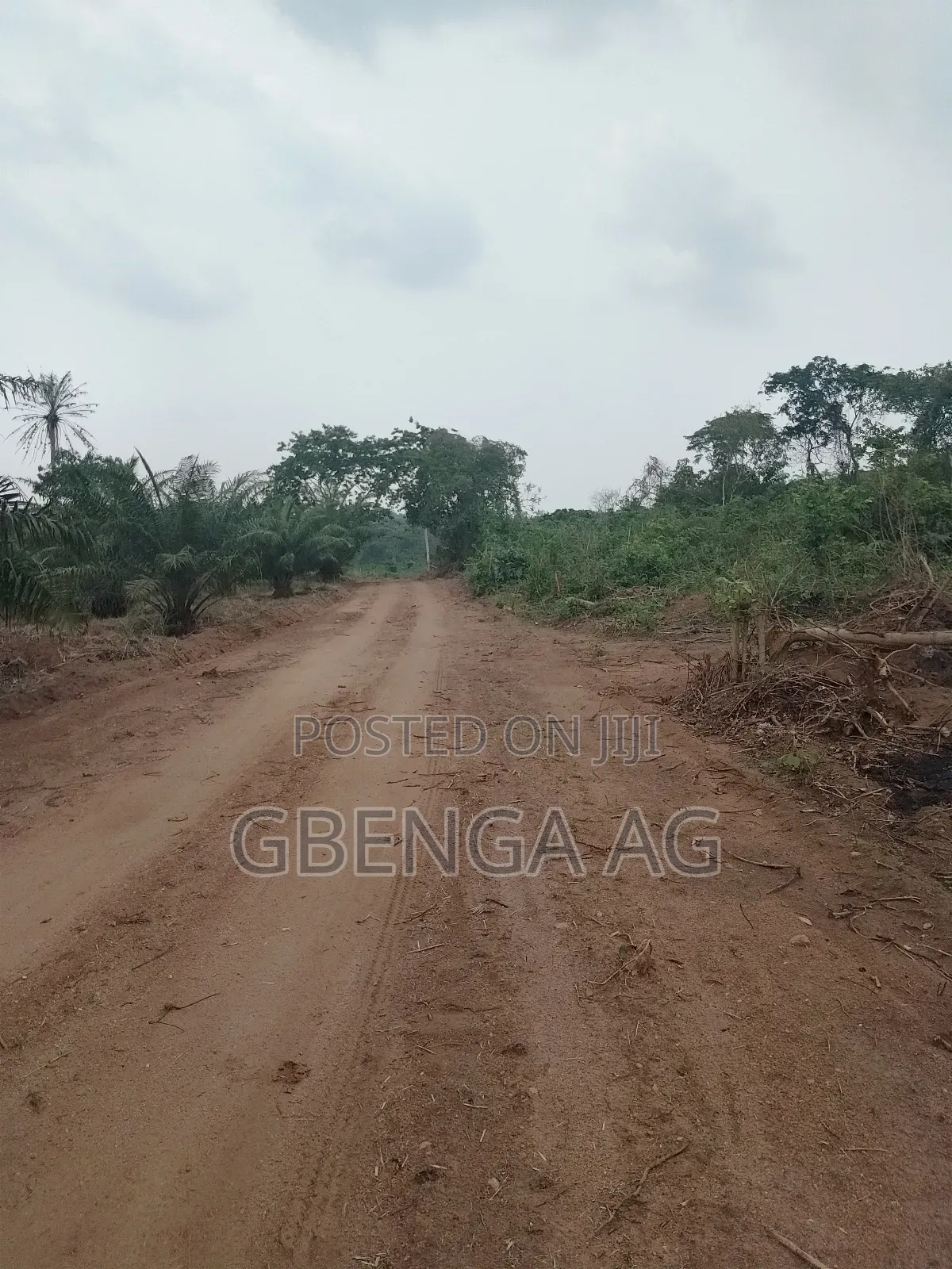 Acres of Farmland for Sale at Agoro via Ashipa Siun Ogun St in Obafemi-Owode