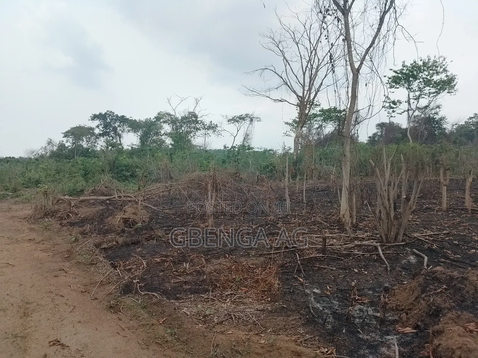 Acres of Farmland for Sale at Agoro via Ashipa Siun Ogun St in Obafemi-Owode
