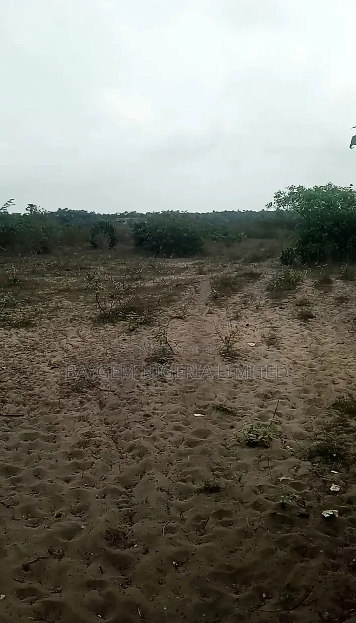 Estate Land for Sale in Lekki Free Trade Zone