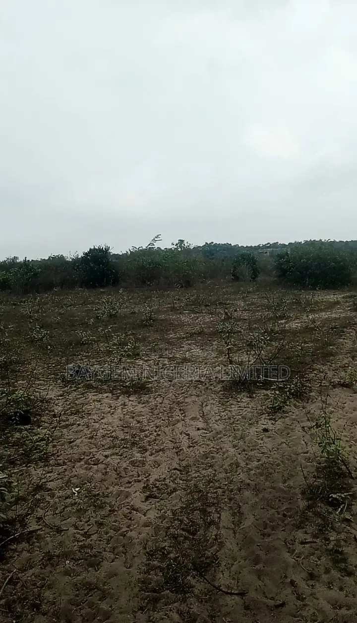 Estate Land for Sale in Lekki Free Trade Zone