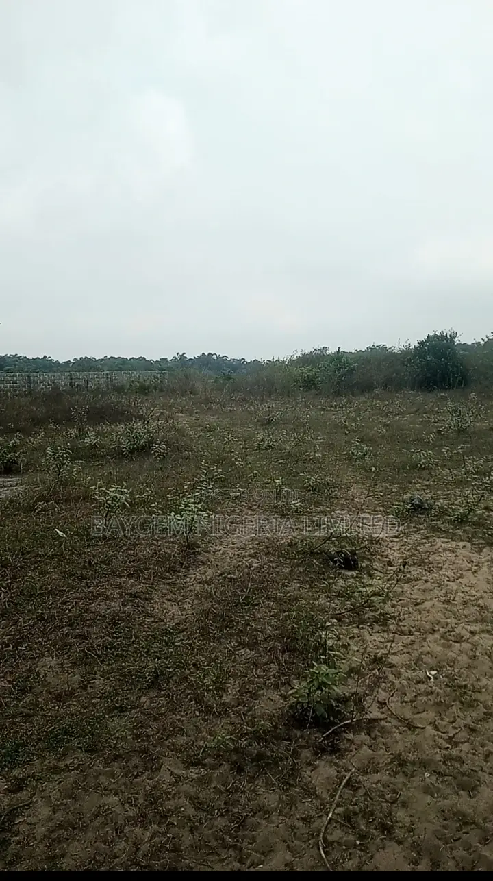 Estate Land for Sale in Lekki Free Trade Zone