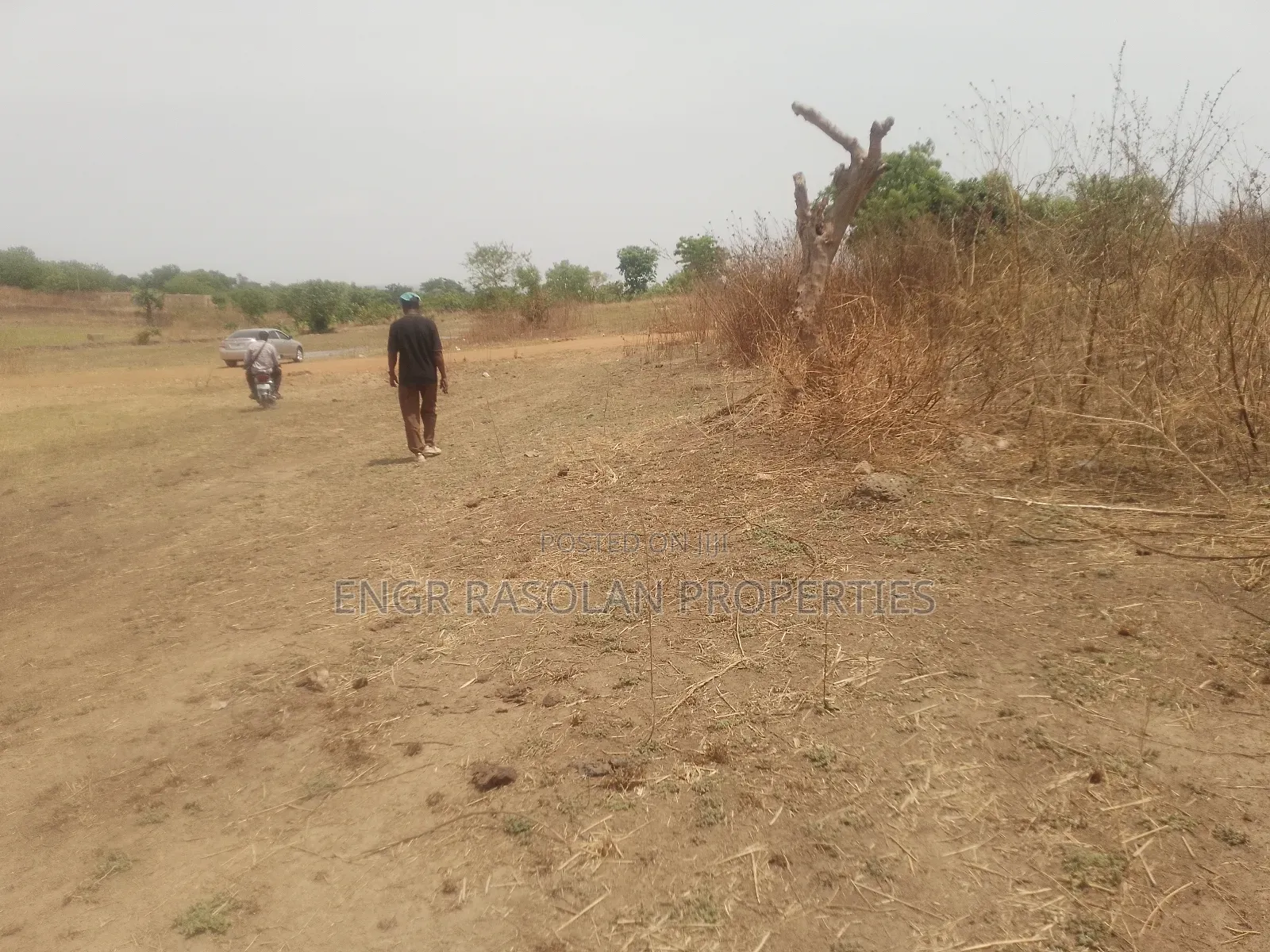Genuine Land for Sale in Ifelodun-Kwara