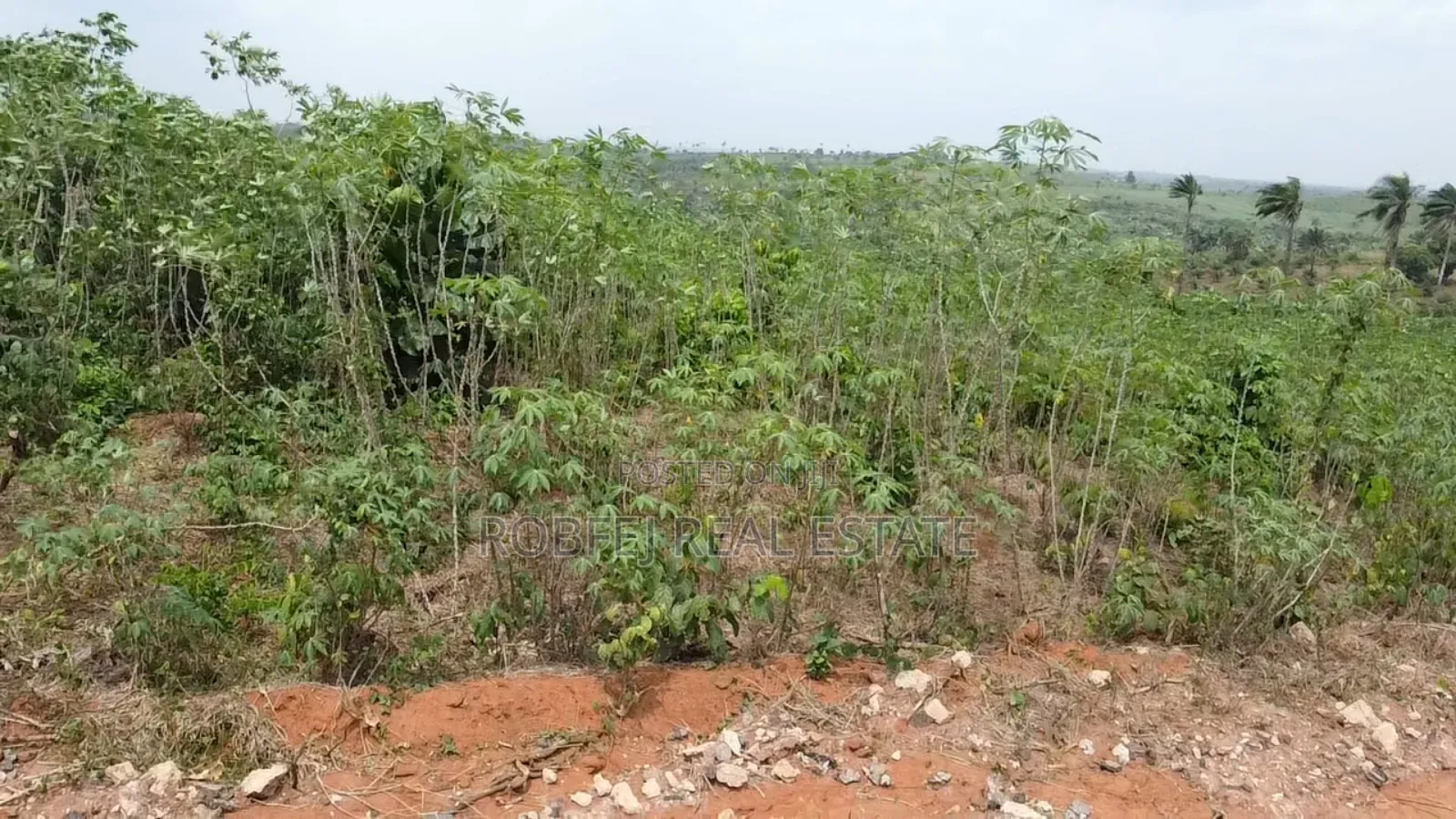 Land Boom Omu Ogun State in Epe