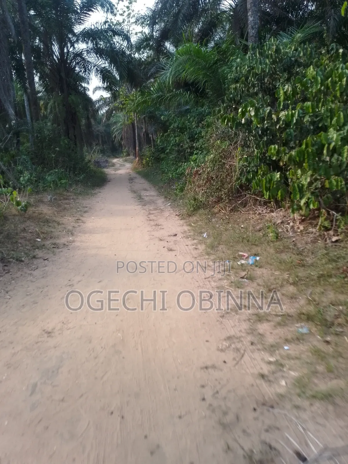 Distress 3 Plots of Genuine Land for Sale at Ulakwo Etche in Port-Harcourt