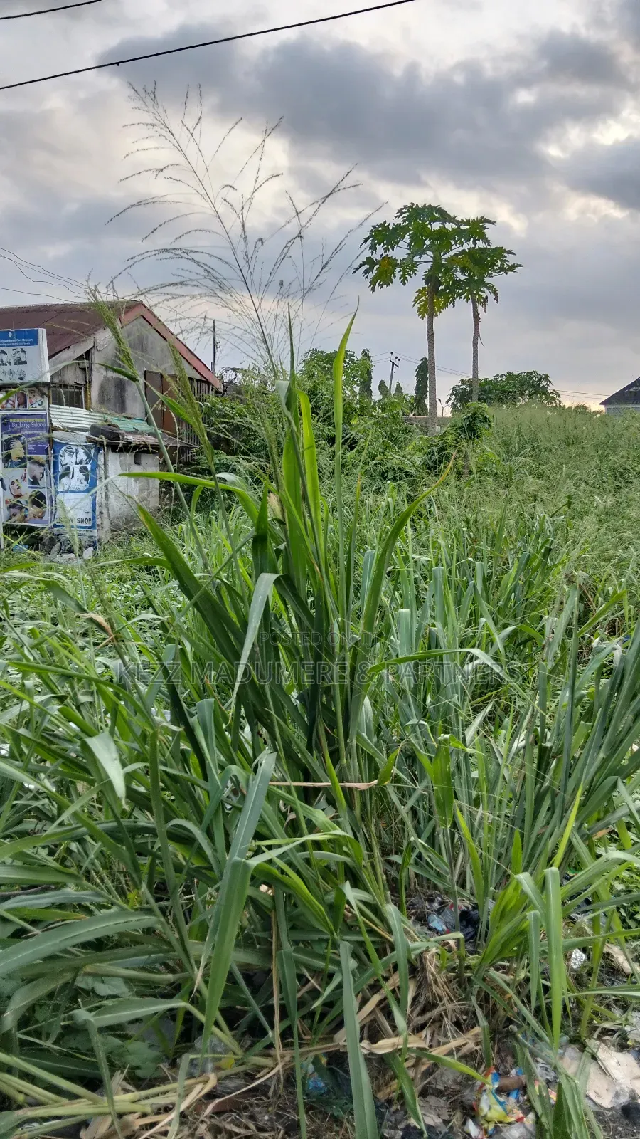 For Sale : 2 Plots Near Dominion City Church , Nta Rd ,Ph in Port-Harcourt