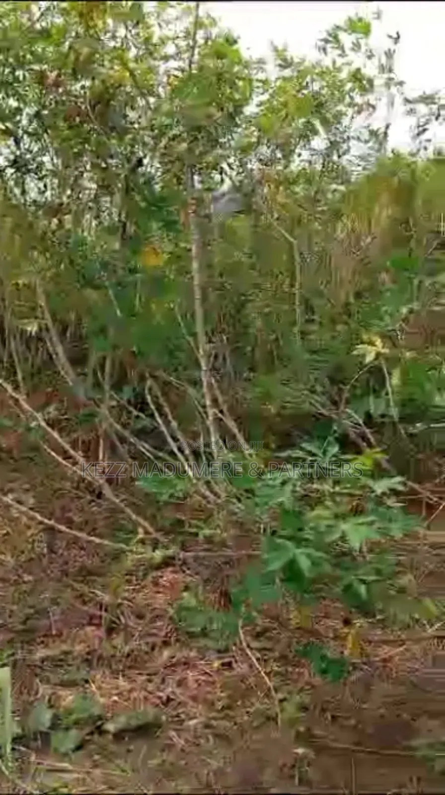 For Sale: Half Plot, Off Rd 1, Freedom Est, Sars Rd, Ph in Port-Harcourt