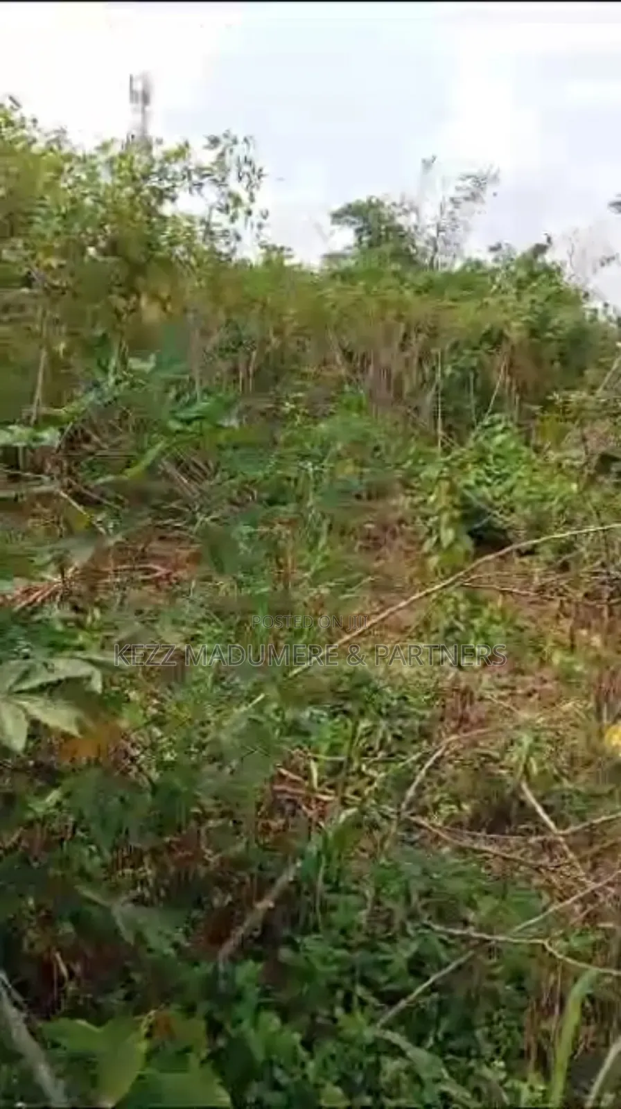 For Sale: Half Plot, Off Rd 1, Freedom Est, Sars Rd, Ph in Port-Harcourt