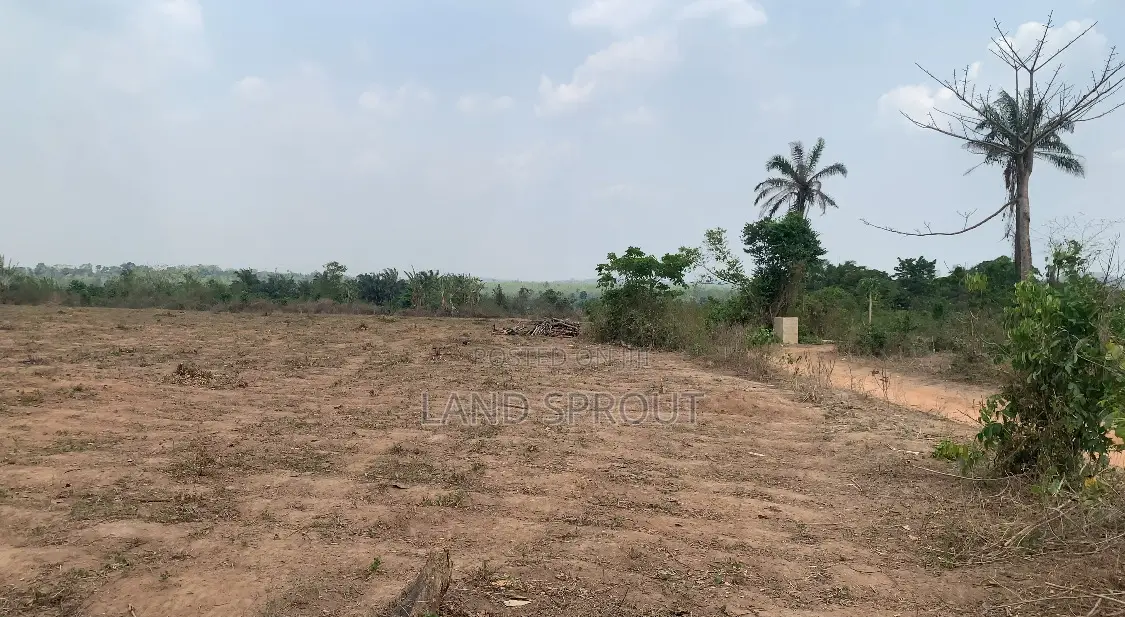 Affordable Land for Land Banking for Sale at Idi-Ayunre, Ibadan in Oluyole