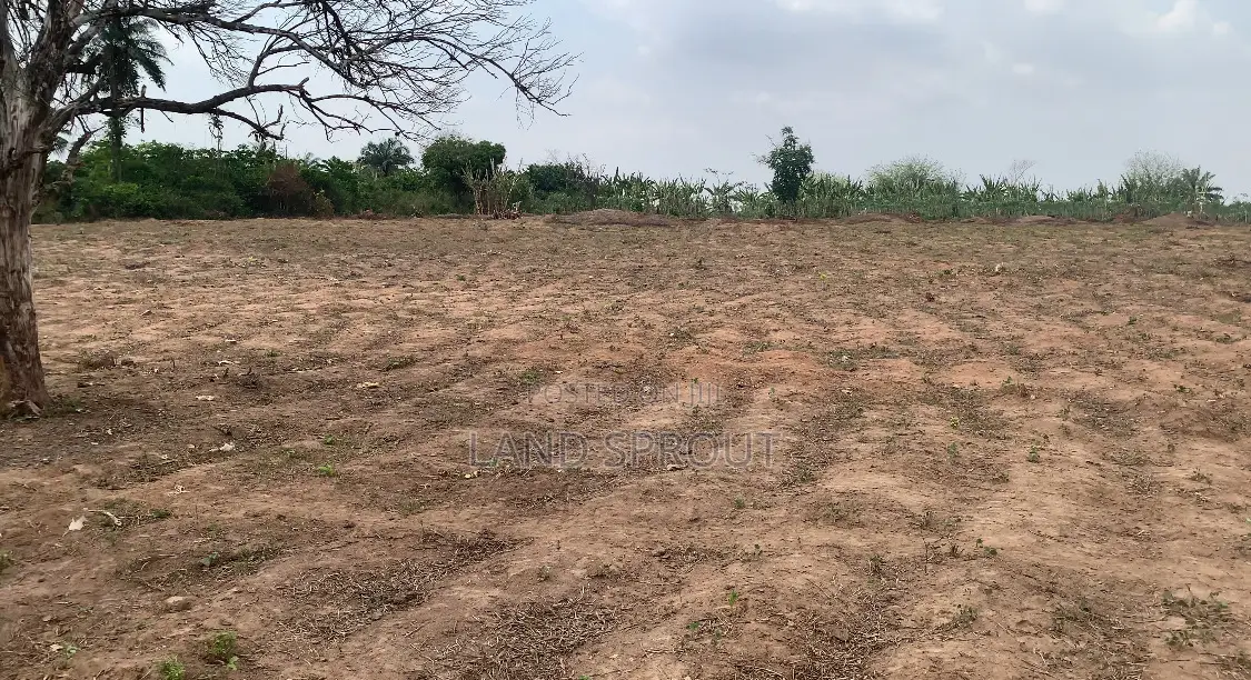 Affordable Land for Land Banking for Sale at Idi-Ayunre, Ibadan in Oluyole