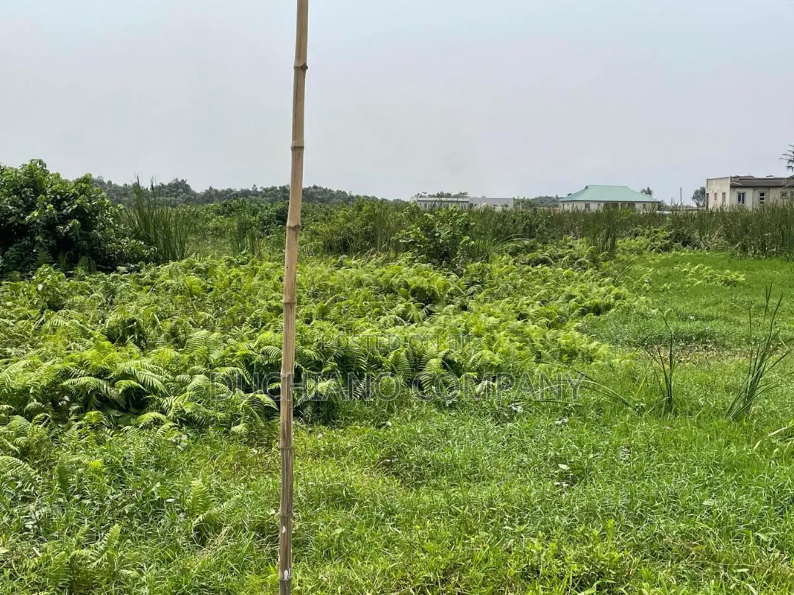 Strategically Located 25 Plots of Land Off Ogombo Road in Ogombo