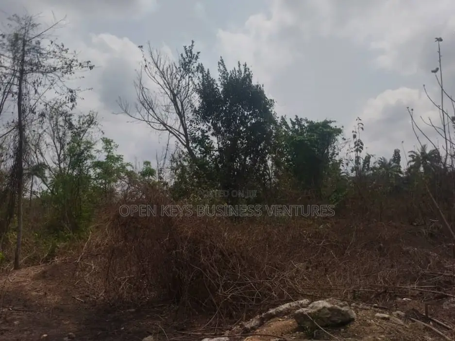 One Acre Commercial Land in Egbeda / Egbeda