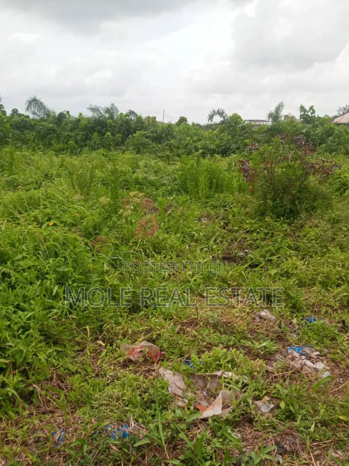 165sqm Ijegun Batist Bustop Festac Link New Rd in Ijegun