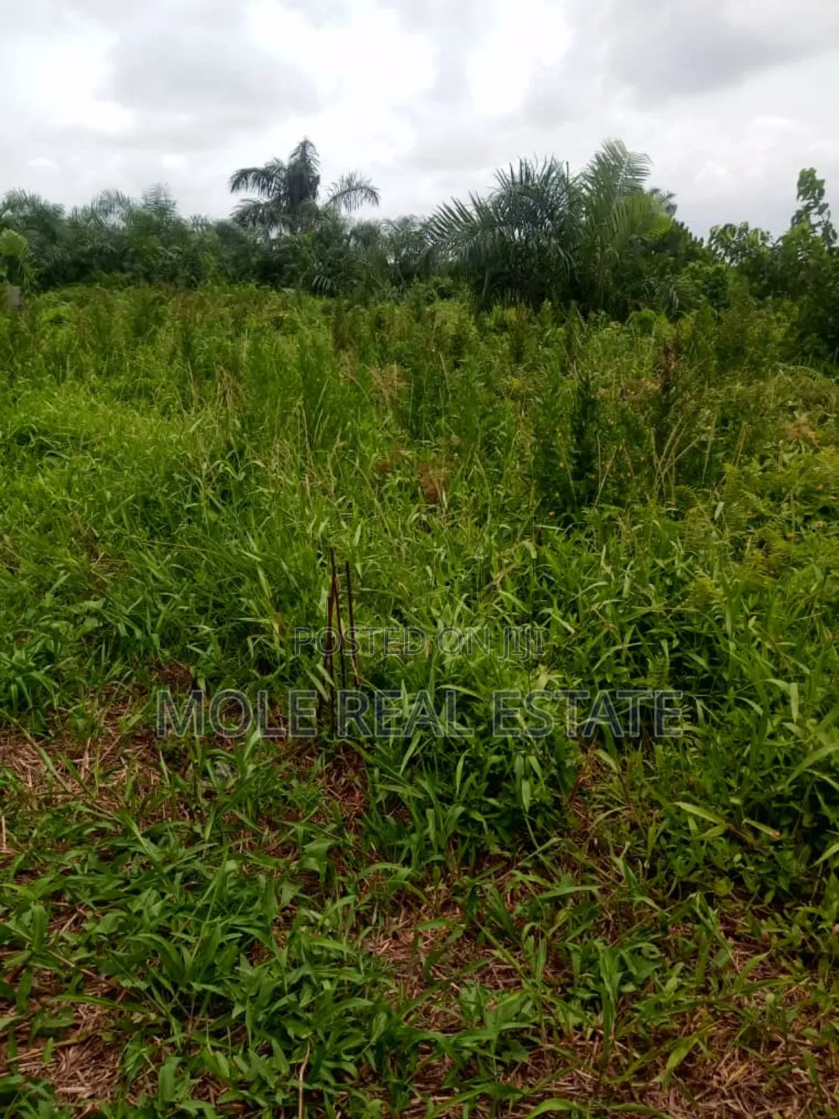 165sqm Ijegun Batist Bustop Festac Link New Rd in Ijegun