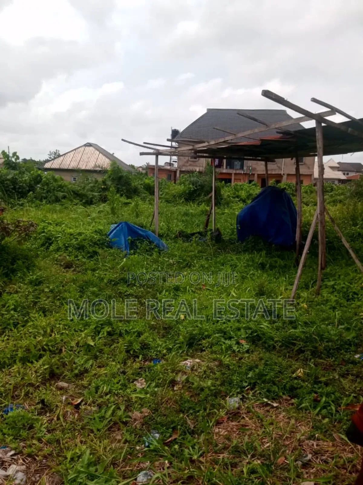 KLM of Farm Farm Land Now Selling at Ogun State in Obafemi-Owode