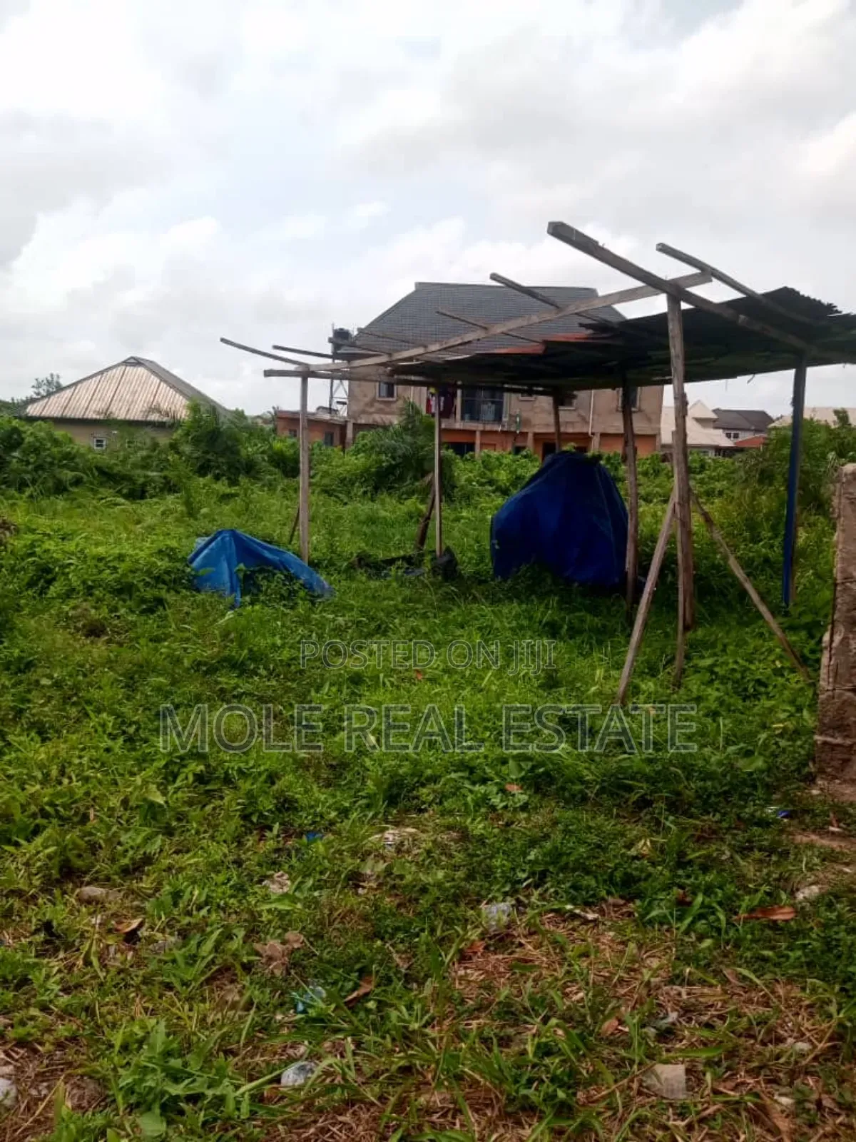 KLM of Farm Farm Land Now Selling at Ogun State in Obafemi-Owode