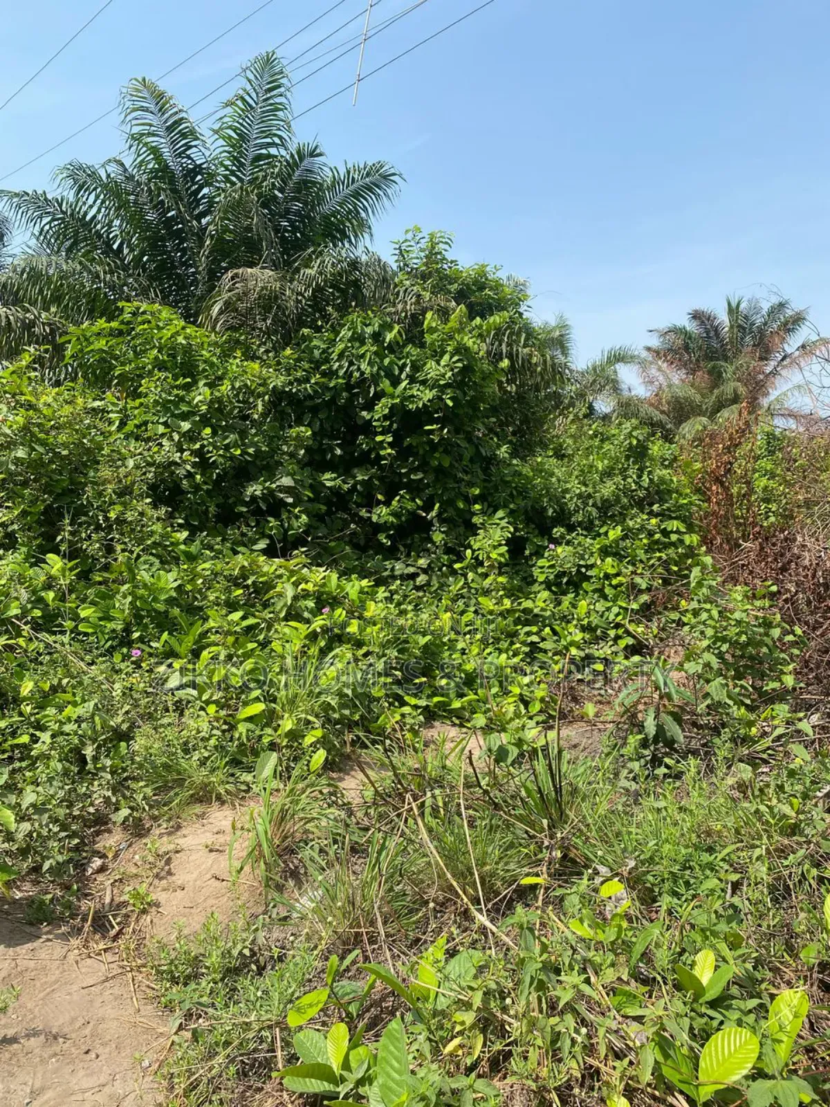 Land for Sale at Sangotedo in Sangotedo