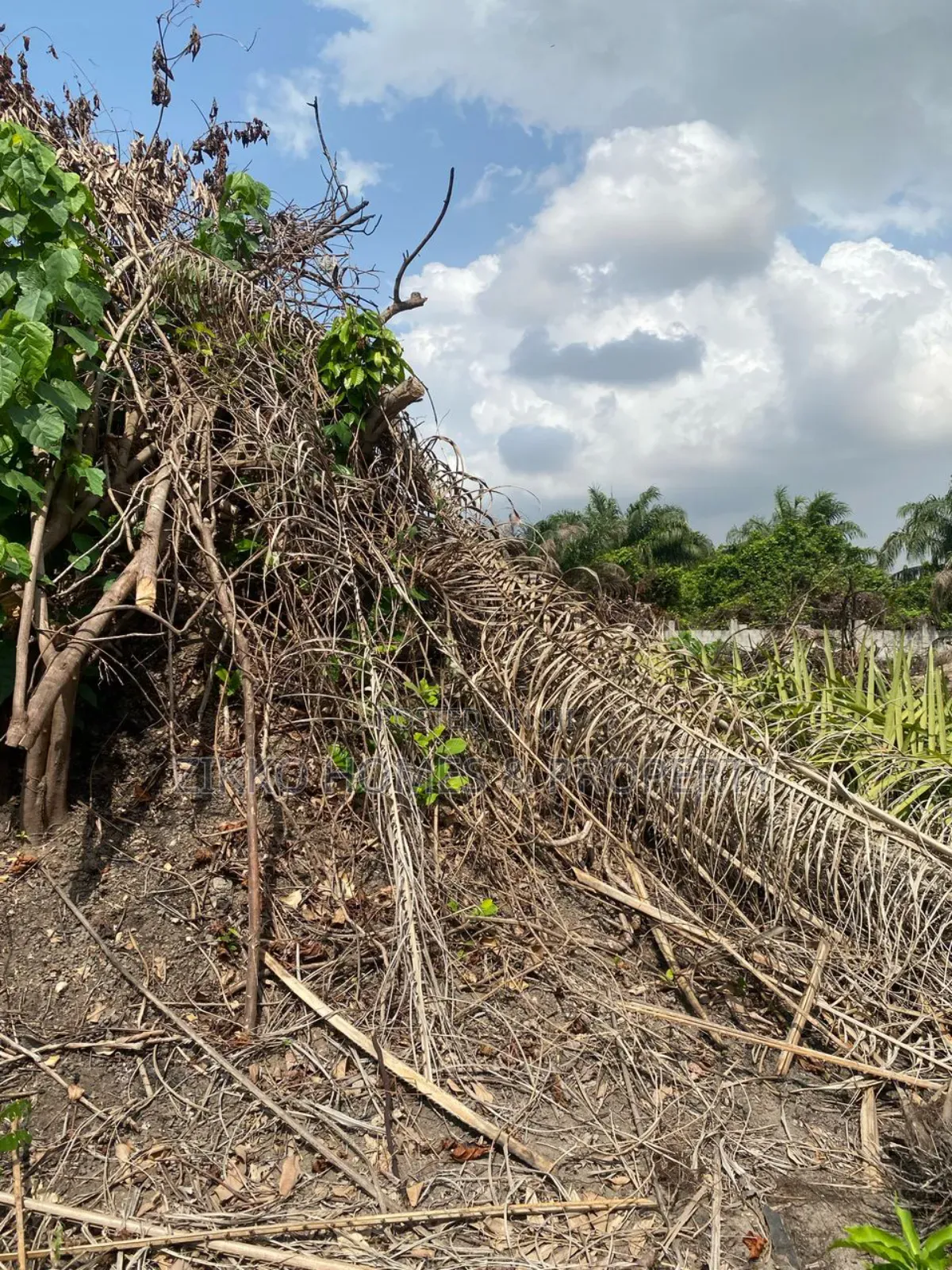 Land for Sale at Sangotedo in Sangotedo