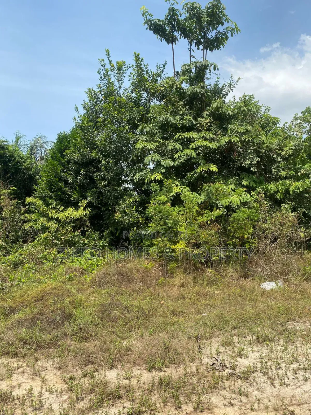 Bulk Land for Sale at Sangotedo in Sangotedo