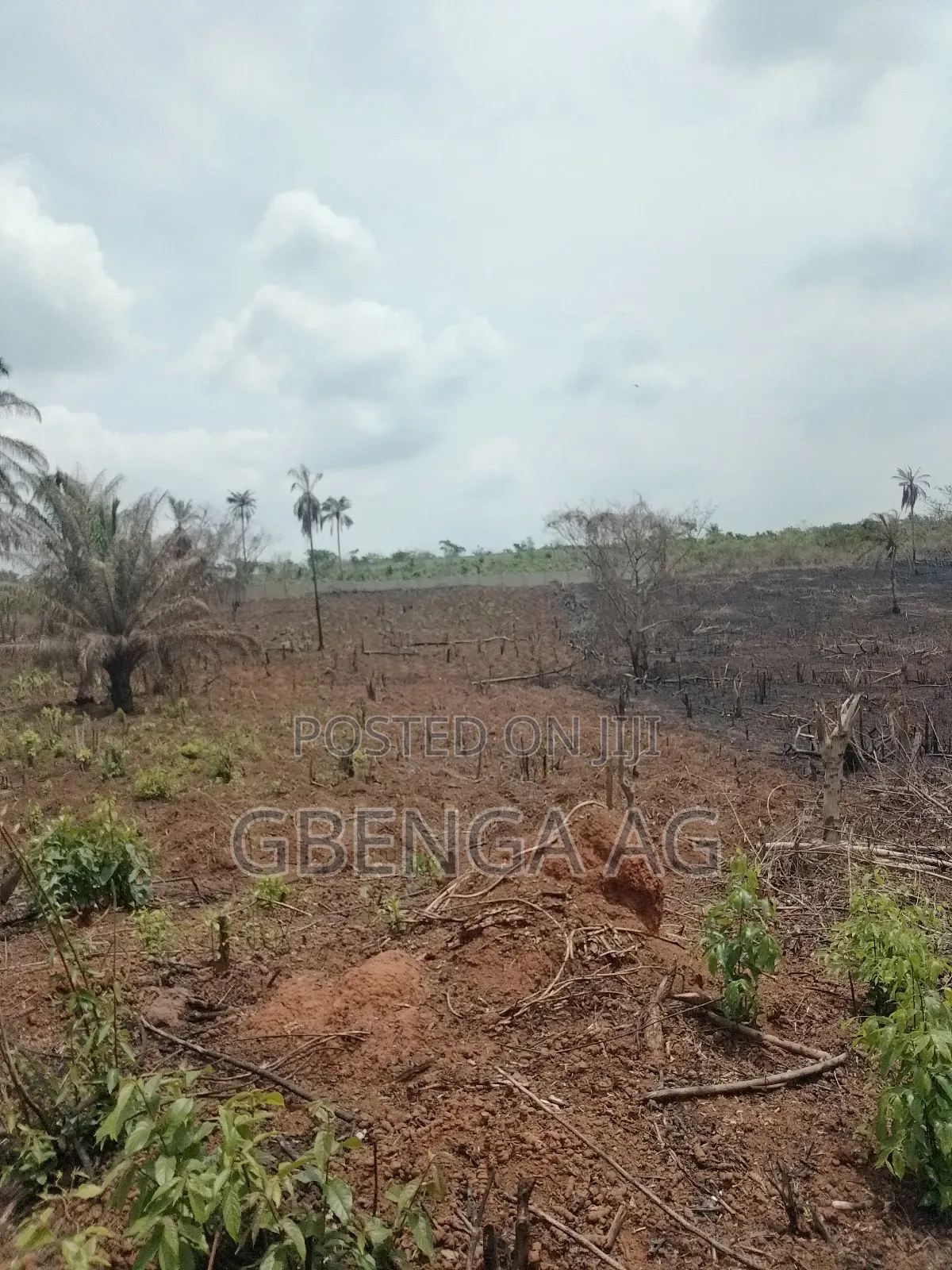 Plots of Land for Sale at Odunbaku Siun Ogun State in Obafemi-Owode