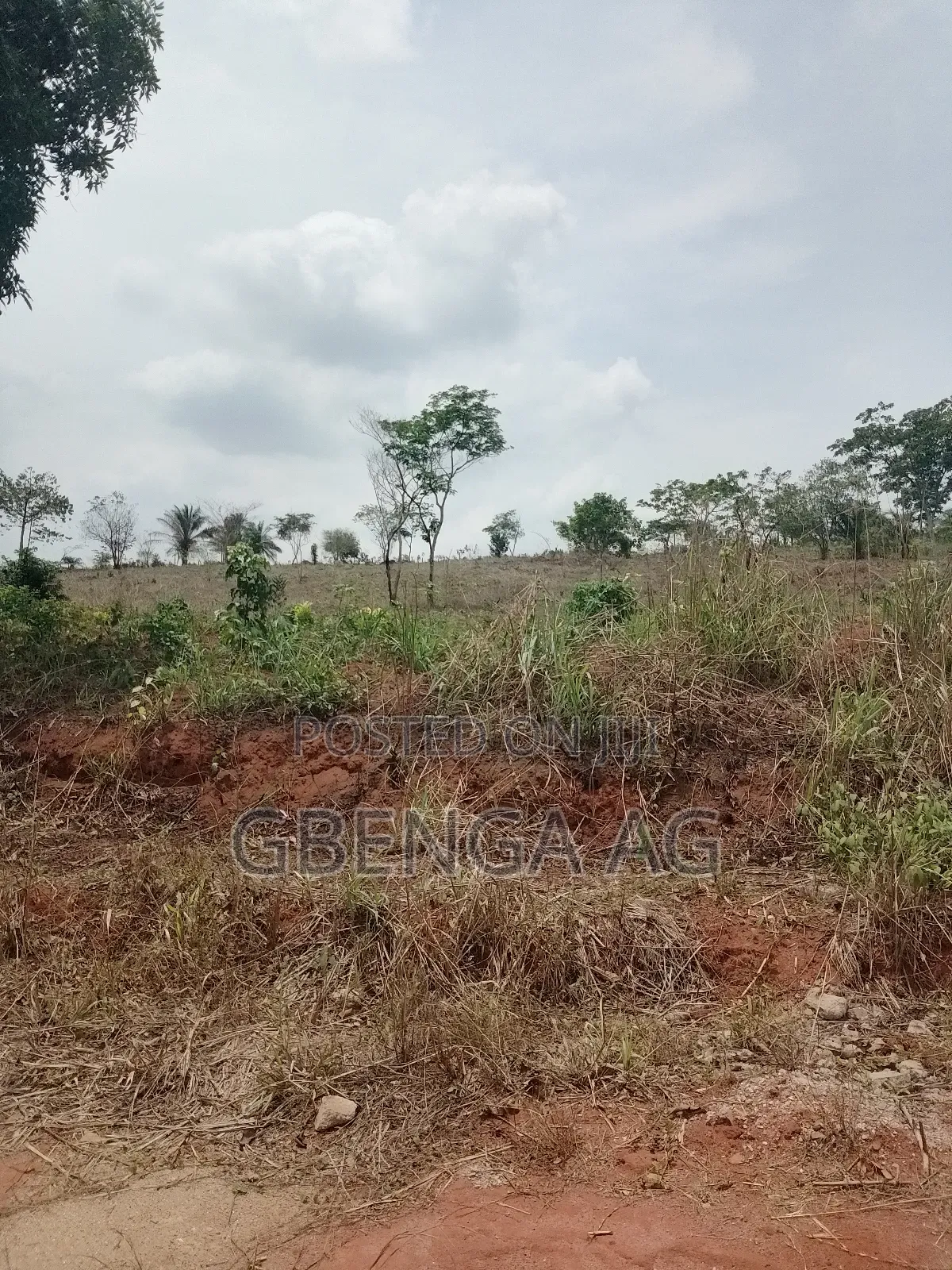 Plots of Land for Sale at Ashero Siun Ogun State in Obafemi-Owode