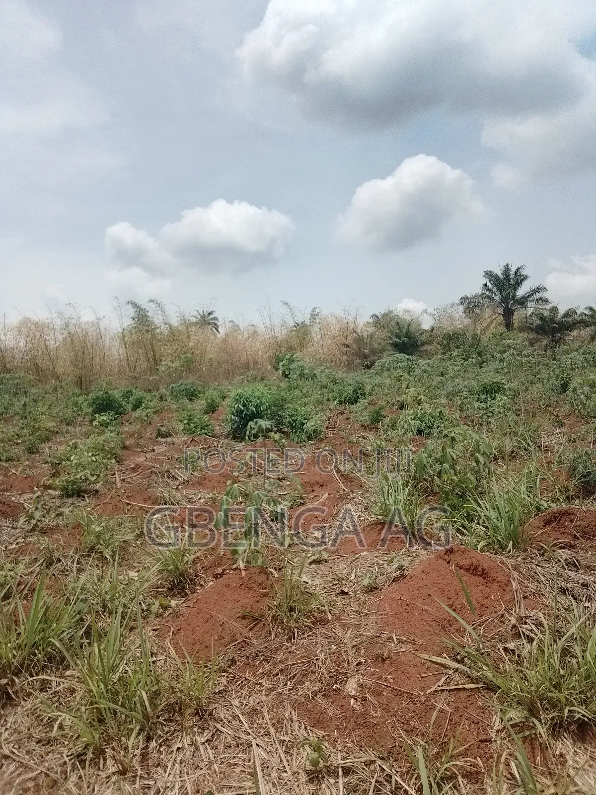 Land for Sale at Rainbow Garden in Obafemi-Owode
