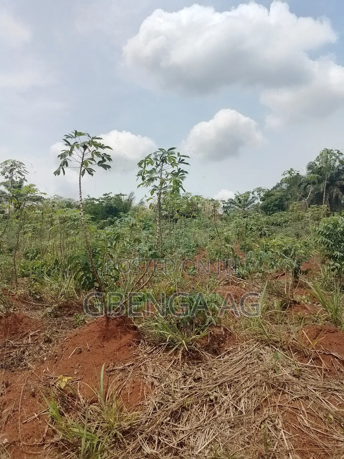 Land for Sale at Rainbow Garden in Obafemi-Owode