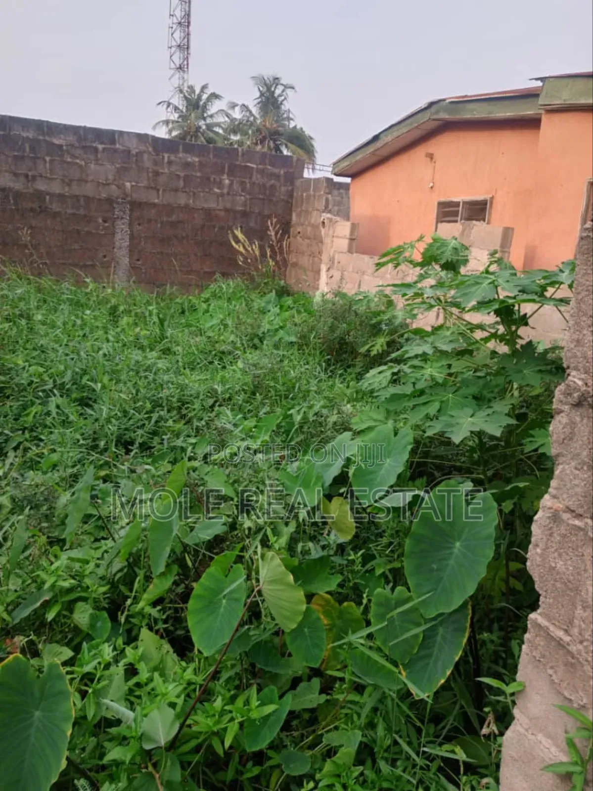 Ramadan Promo 30% Off Ijegun Plots Close to Bustop in Ijegun
