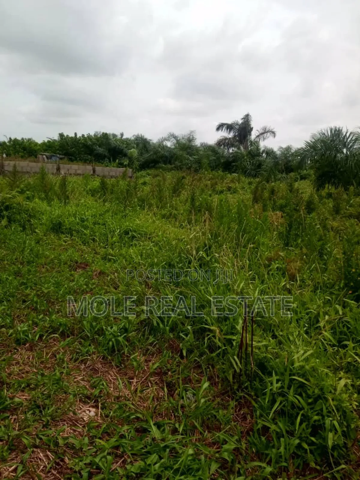 Ramadan Promo 30% Off Ijegun Plots Close to Bustop in Ijegun