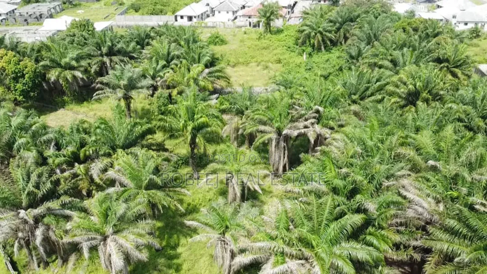 Oceanfront Potential Meets Industrial Power House in Eleko