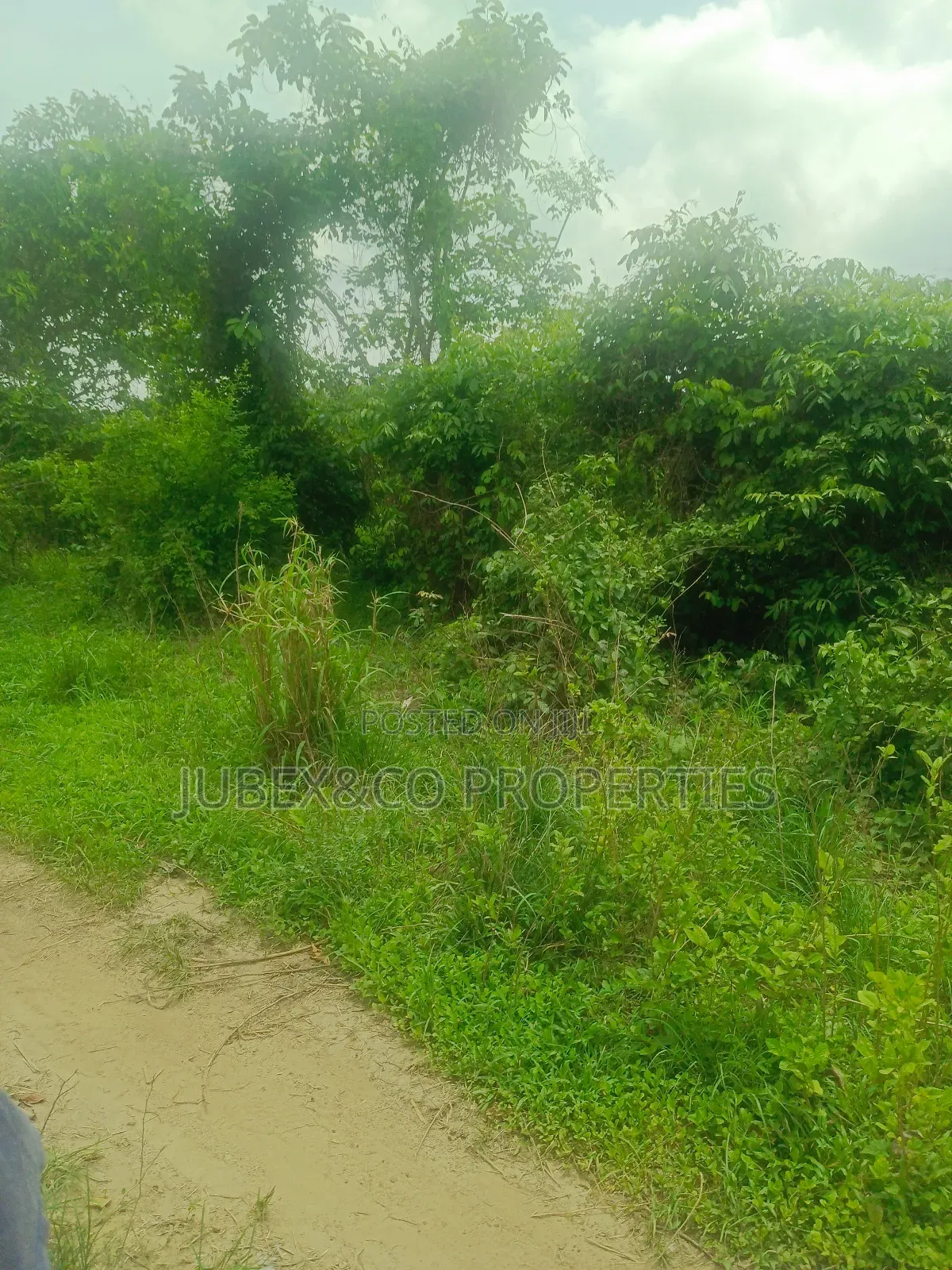 Acres of Land at Igbojila in Ilaro