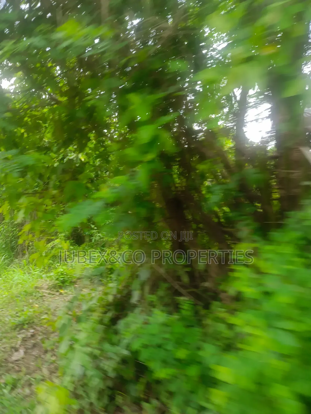 Acres of Land at Igbojila in Ilaro