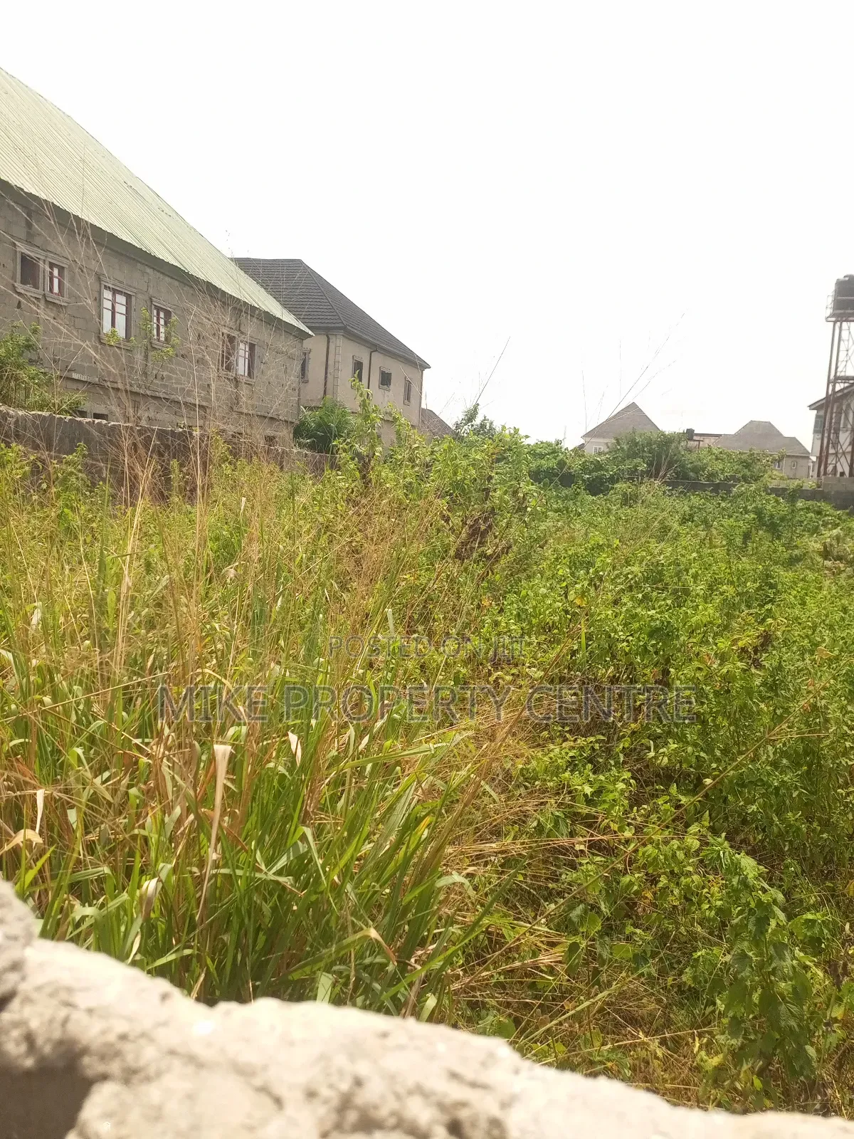 A Full Plot of Land in Bucknor