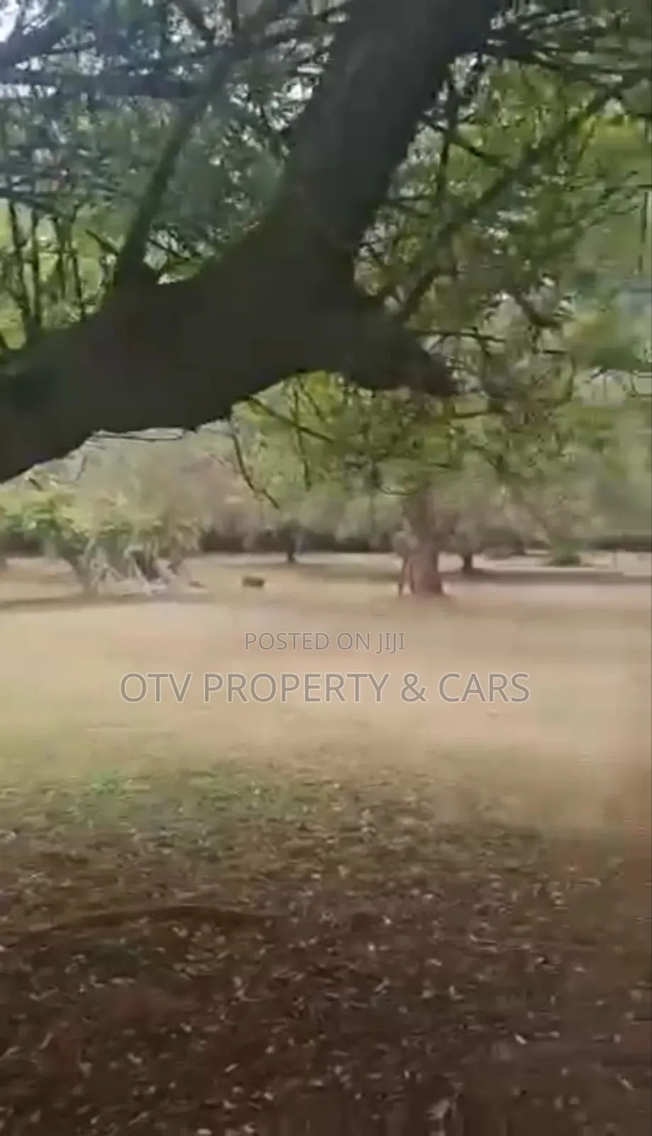 23 Acres of Land for Sale at Oregun, Ikeja Lagos 72351 in Airport Road / Oshodi