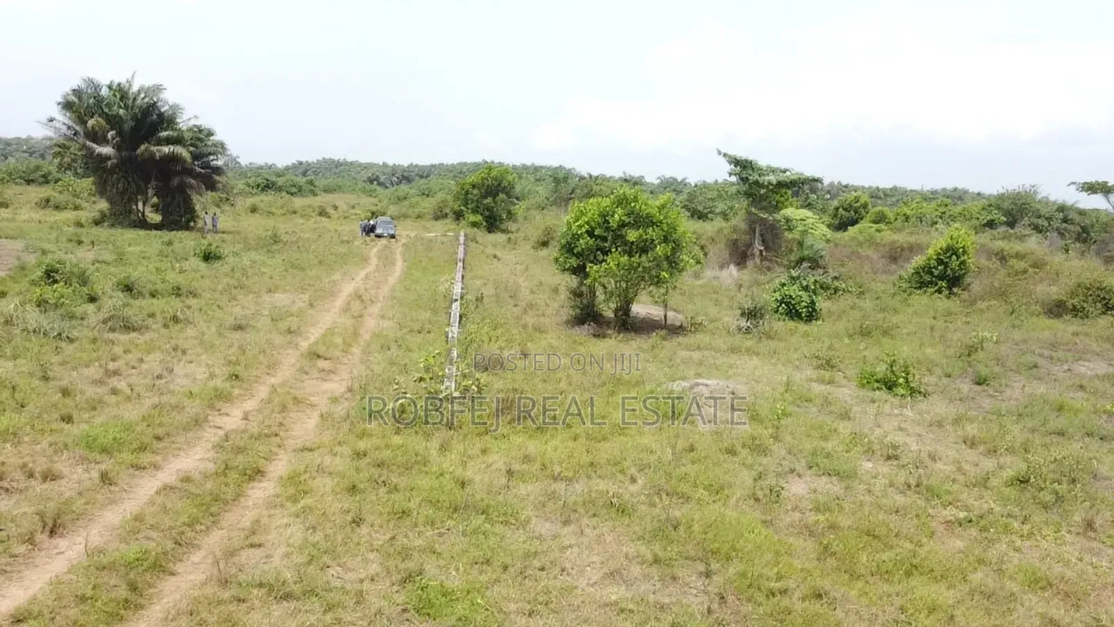 Prime 40 Acres Investment Opportunity in Eleko