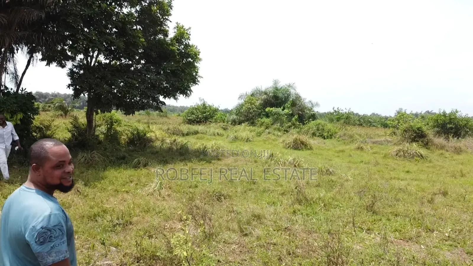 Prime 40 Acres Investment Opportunity in Eleko
