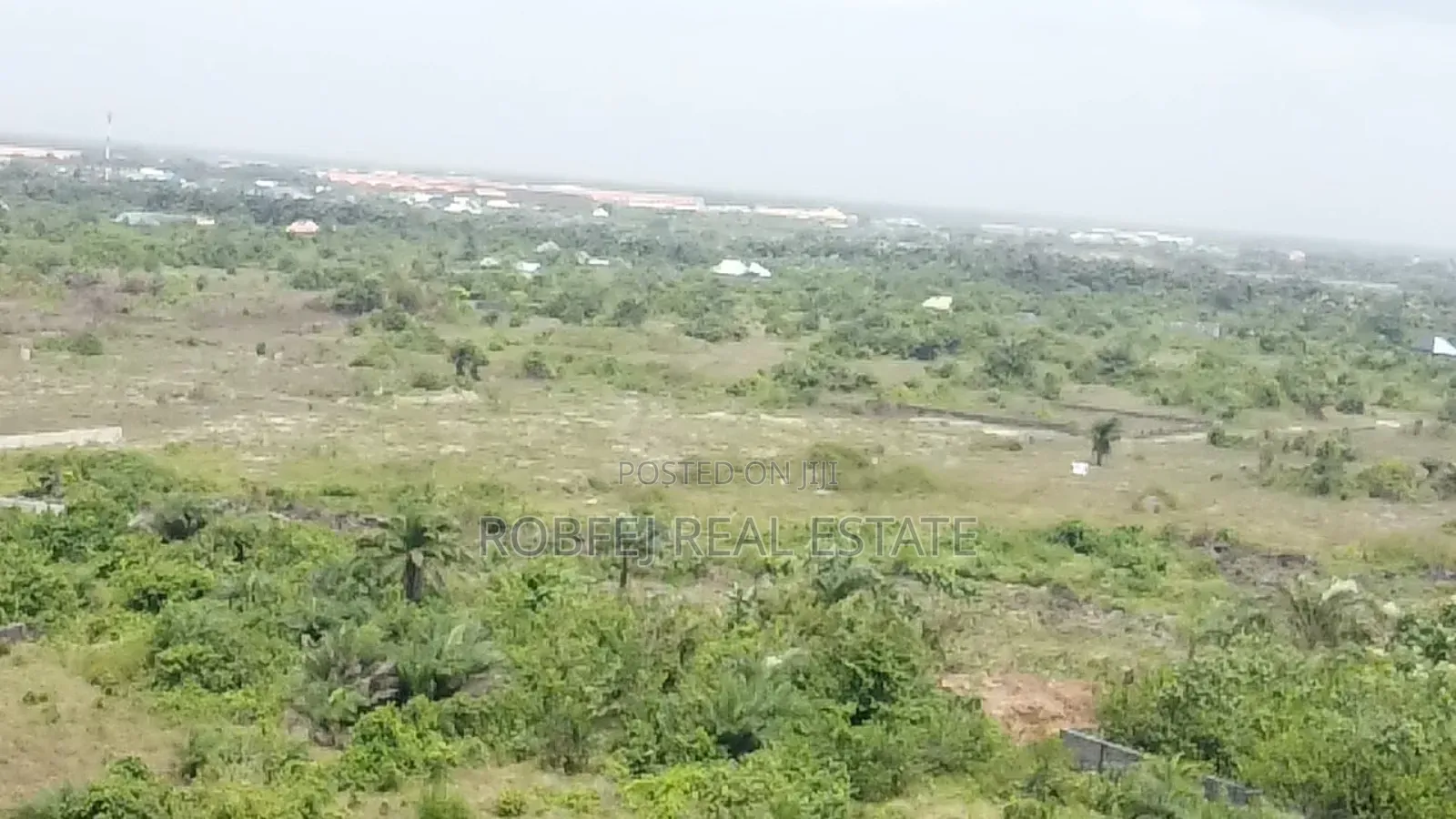 Prime 40 Acres Investment Opportunity in Eleko
