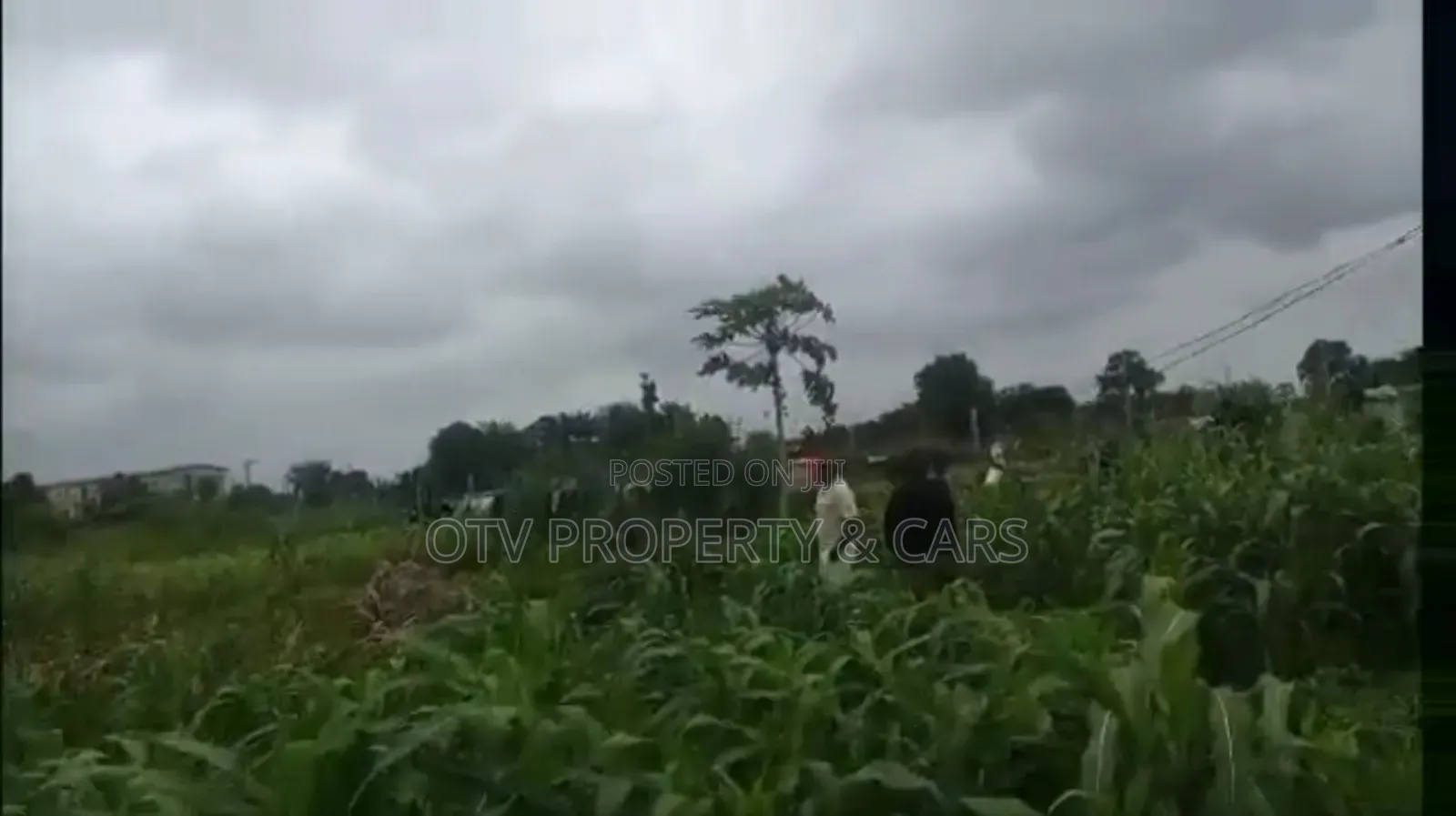 6 Hectares/15 Acres of Land at Ikeja Gra for Sale in Ikeja GRA
