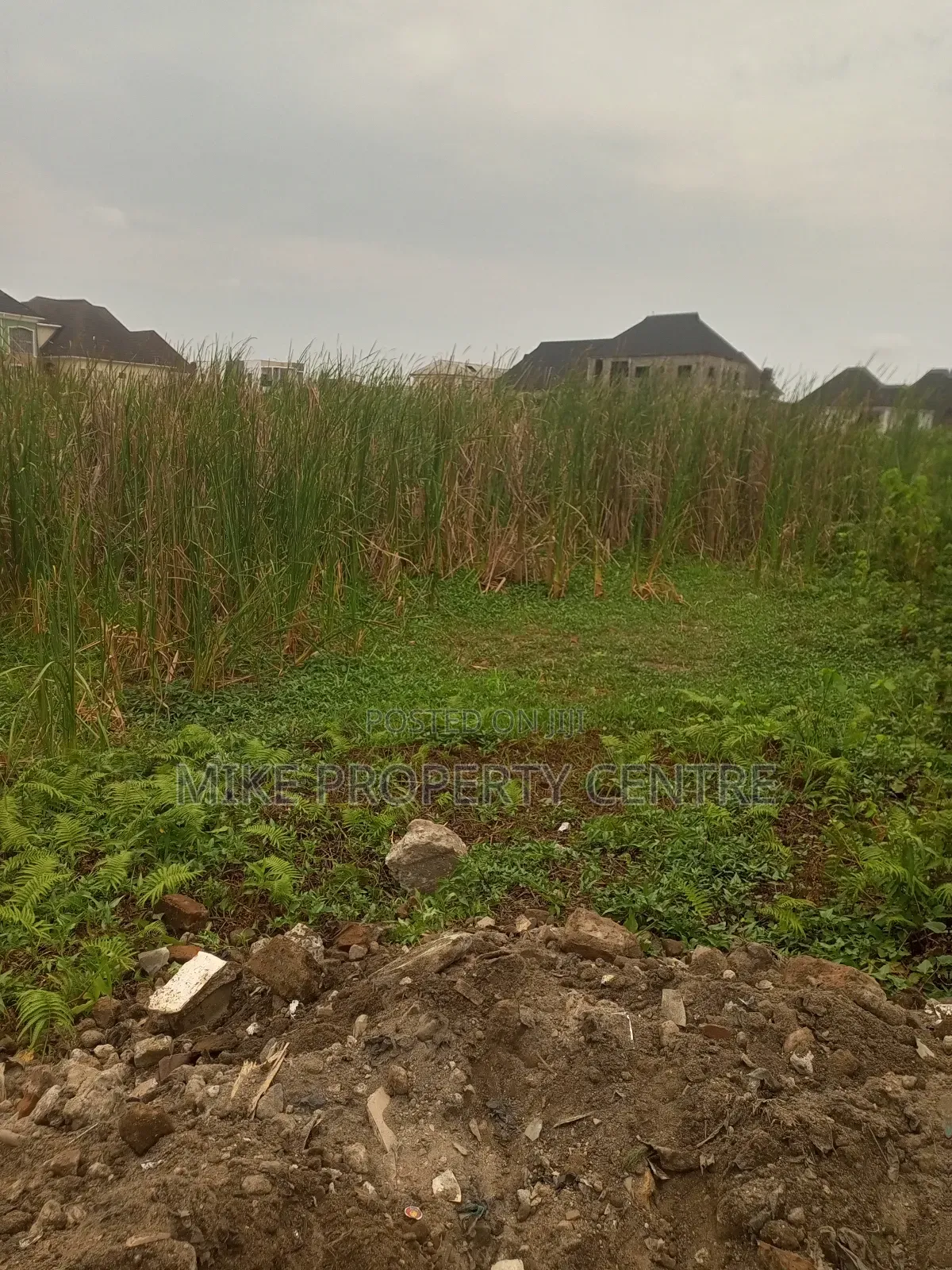 6 Plots of Land in Bucknor