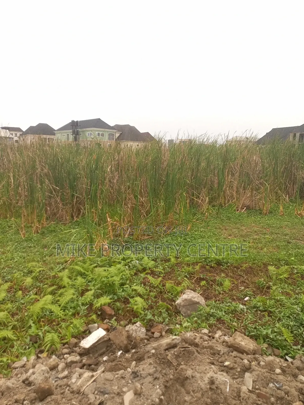6 Plots of Land in Bucknor